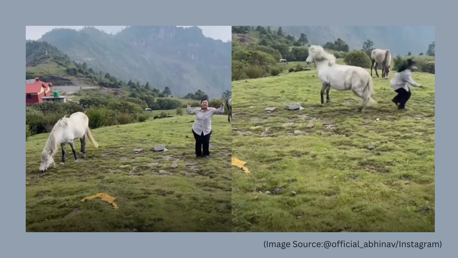 Horse interrupts woman's dance with a swift kick in viral video, netizens say 'kickass performance'