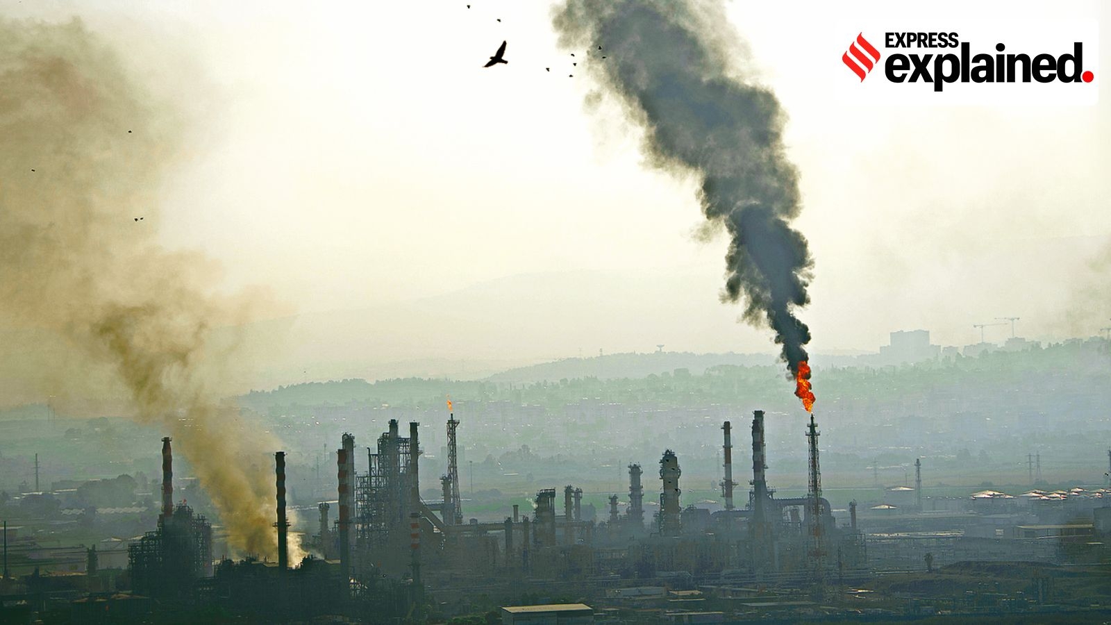 Why the Iran-Israel war has not hit Indian markets