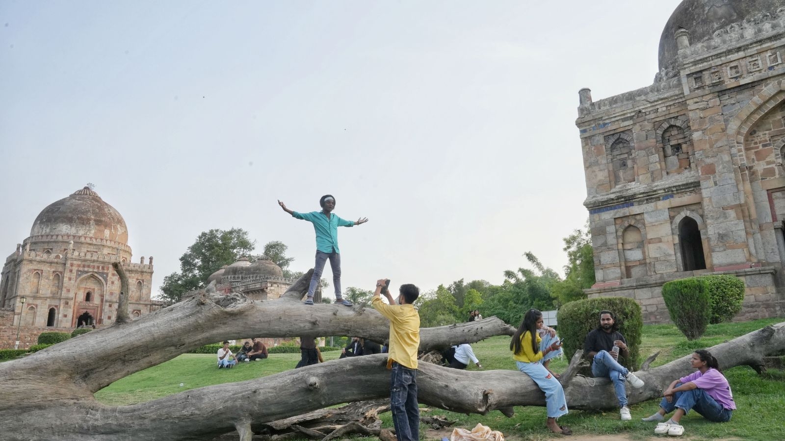 Witness to sunsets and stories, a beloved landmark falls in Delhi's Lodhi Garden