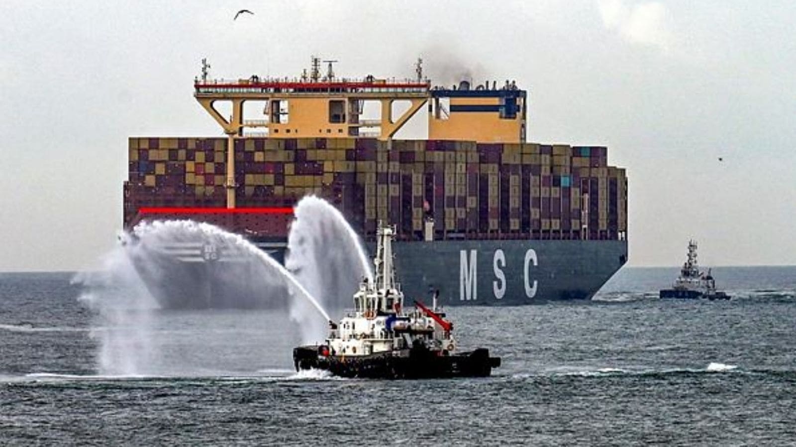 MSC Irina, world's largest container ship, docks at Kerala's Vizhinjam port