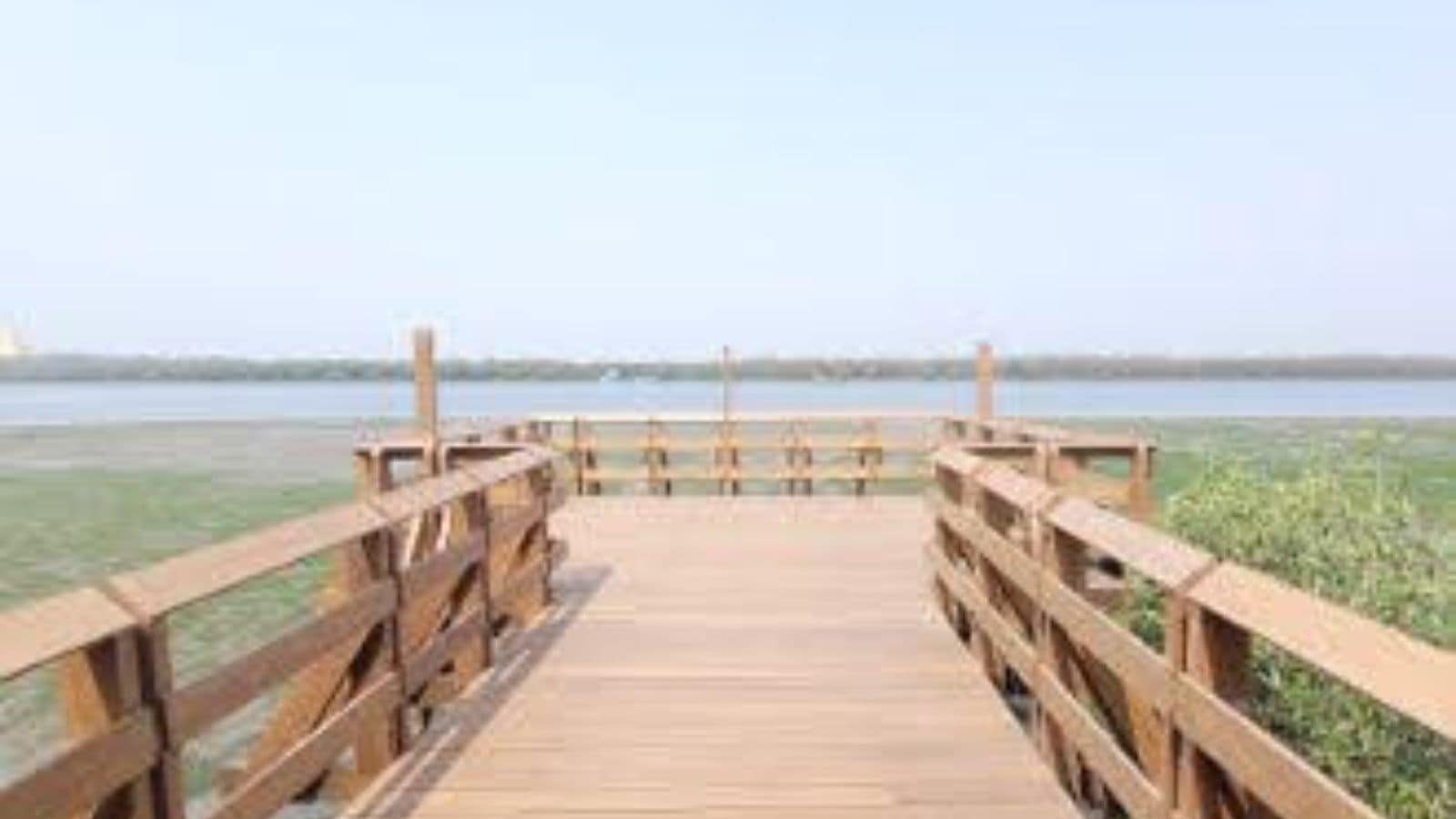 Changing City: India's first Mangrove Park getting ready in Mumbai's Gorai, final work under progess