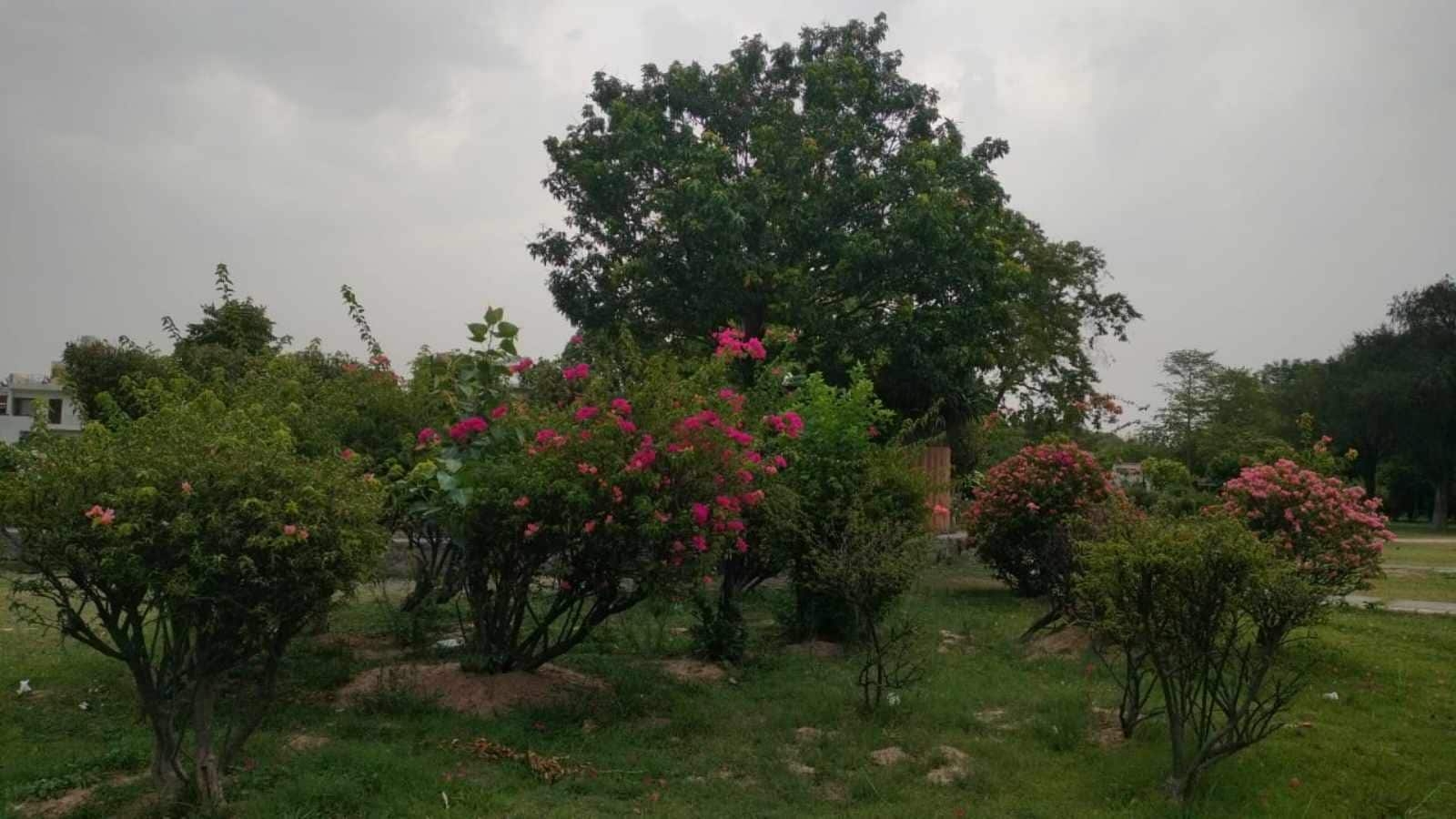 Will rope in corporates for upkeep of parks in Mohali under CSR: mayor