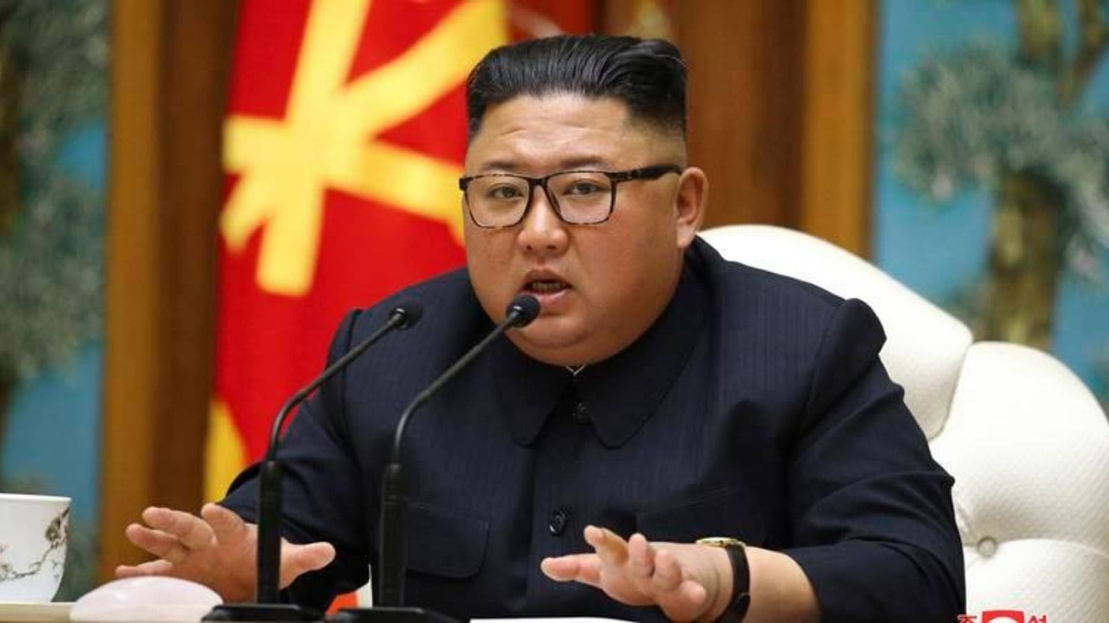 ‘Oppa' becomes ‘comrade' & screenshots every 5 minutes: What phone smuggled out of North Korea reveals