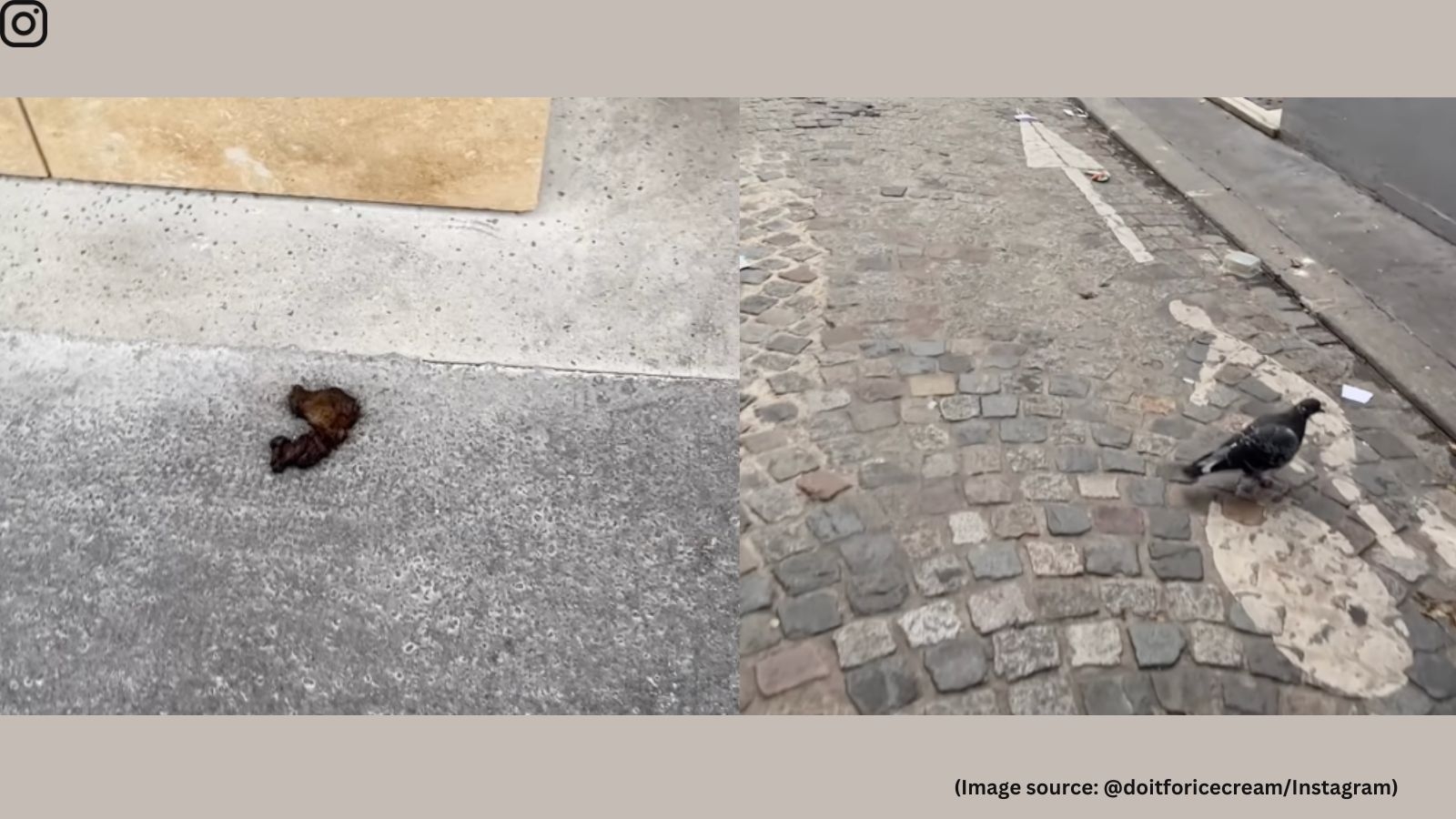 Video shows Paris streets littered with garbage, human waste; netizens say, ‘They only defame India'