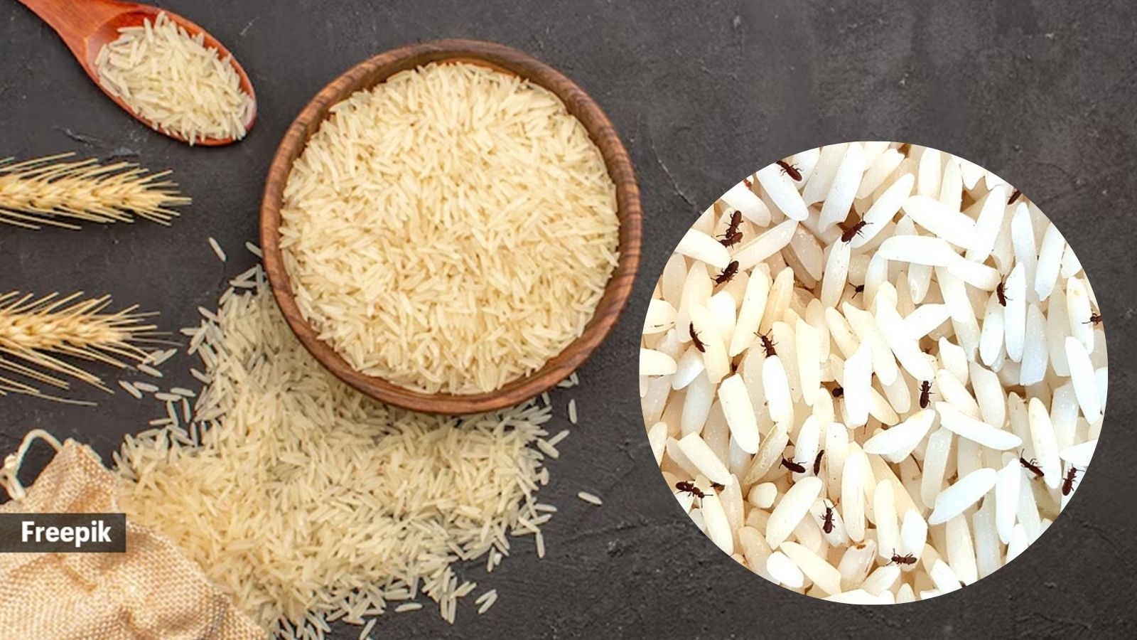 6 expert-approved tips to get rid of ‘chawal ke keede' or rice weevils from your pantry