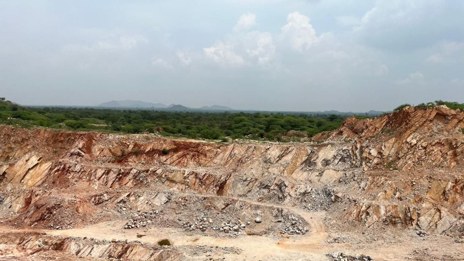 Protect whatever is left of Aravallis, combat illegal mining, environmental group urges Haryana government