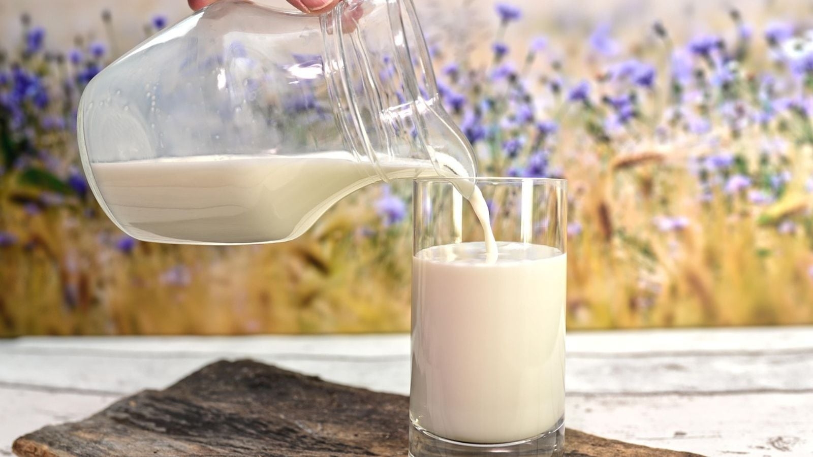 Can milk be a muscle-building superfood? Find out how it boosts weight loss too