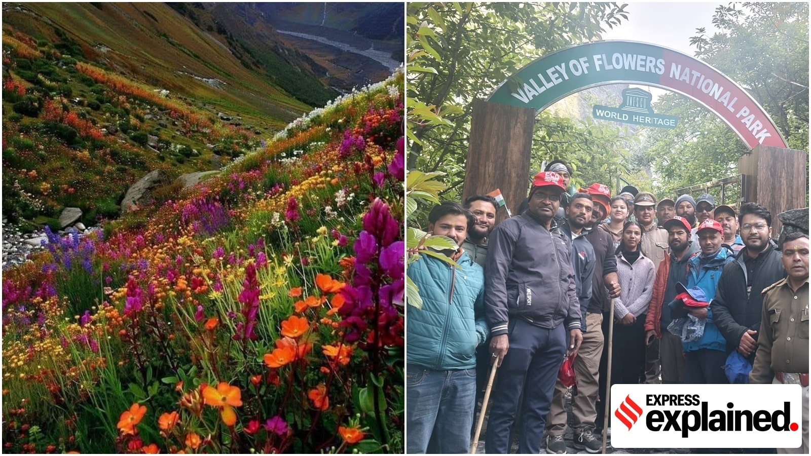 Valley of Flowers in Uttarakhand open to tourists from June 1: All you need to know