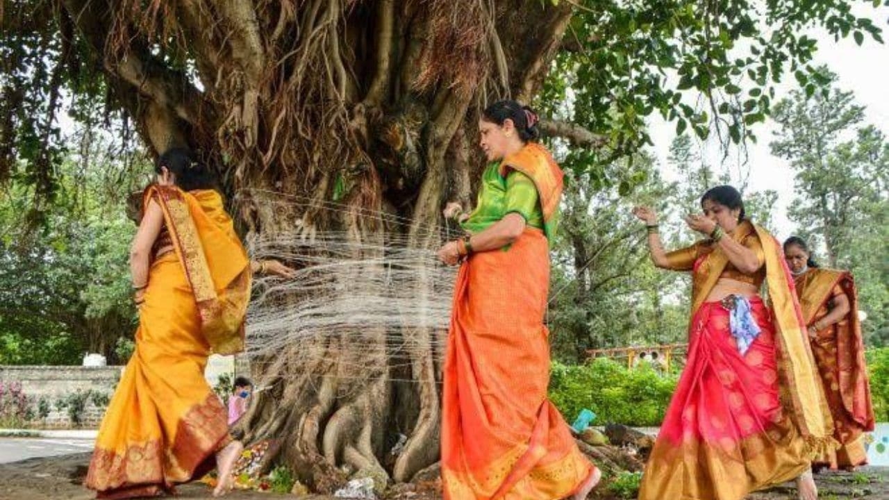 Vat Purnima Vrat 2025: Know the date, timings, rituals, and significance