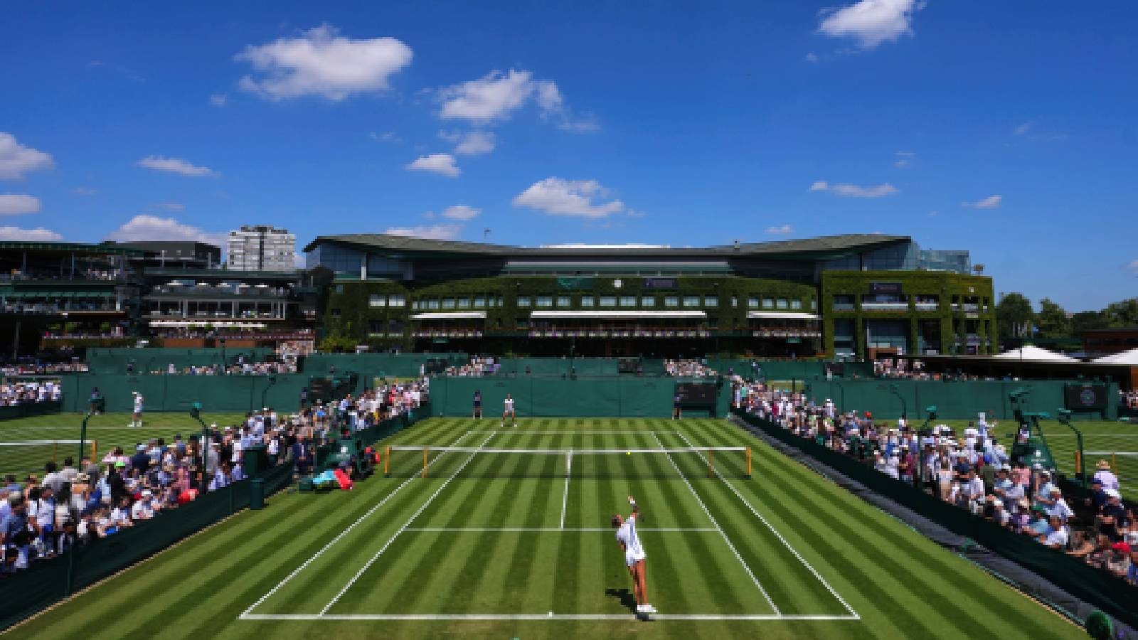 What is the heat rule in Wimbledon and why is it in place?