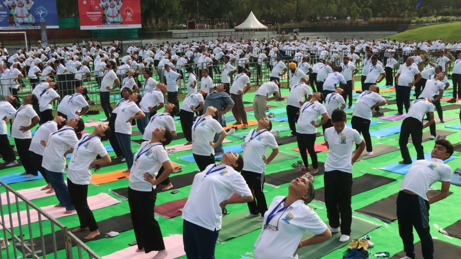 11th International Yoga Day: Chandigarh radiates vibrant energy as over 33,000 perform yoga