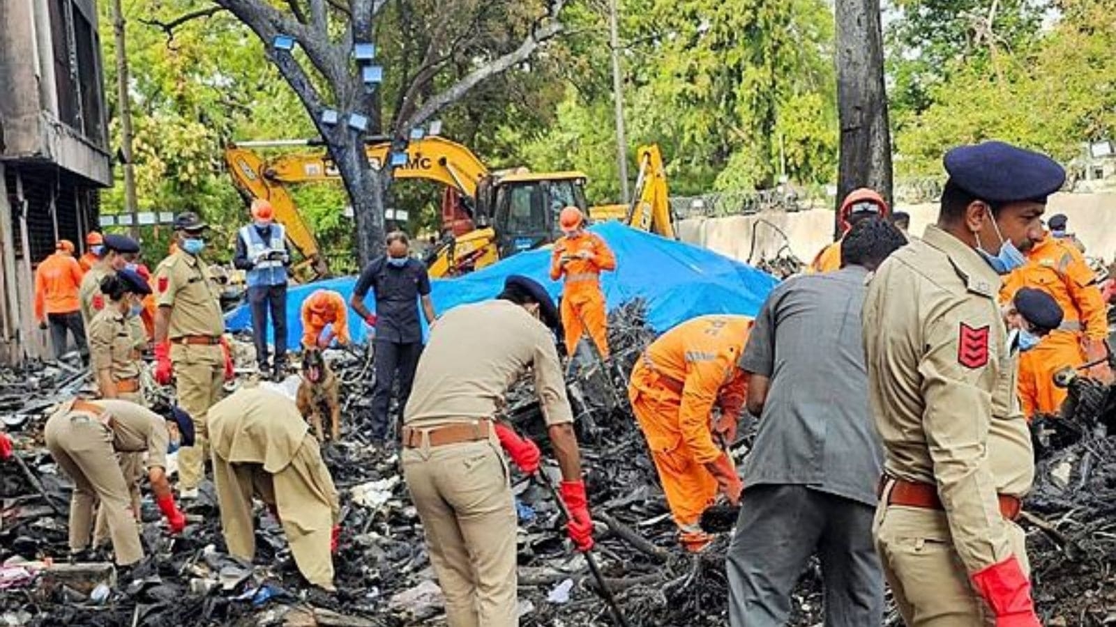 92 DNA matches confirmed, 47 bodies handed over so far after Air India crash: Gujarat Health Minister