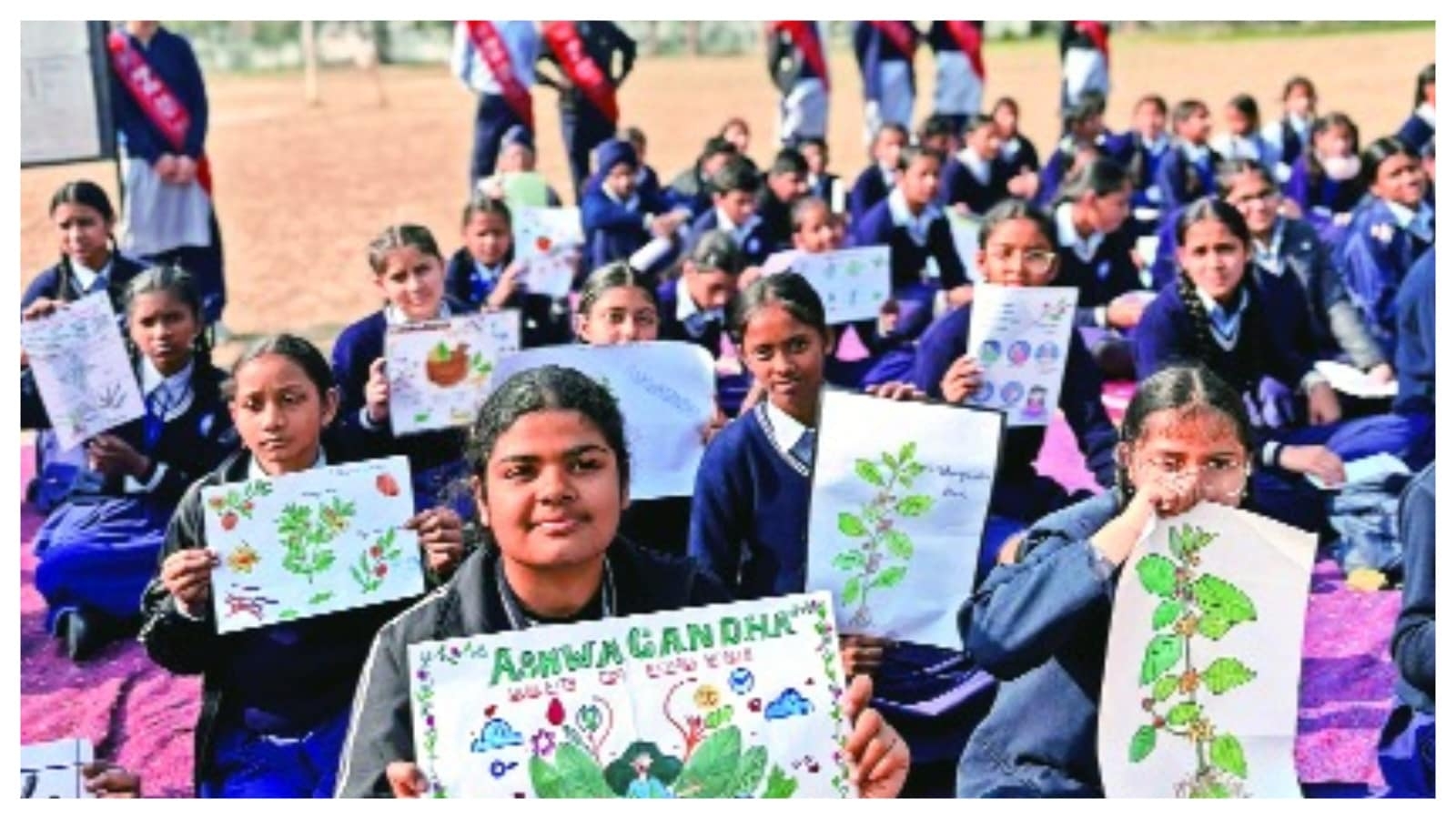 Ashwagandha: Root, stock and barrel of awareness in Tricity