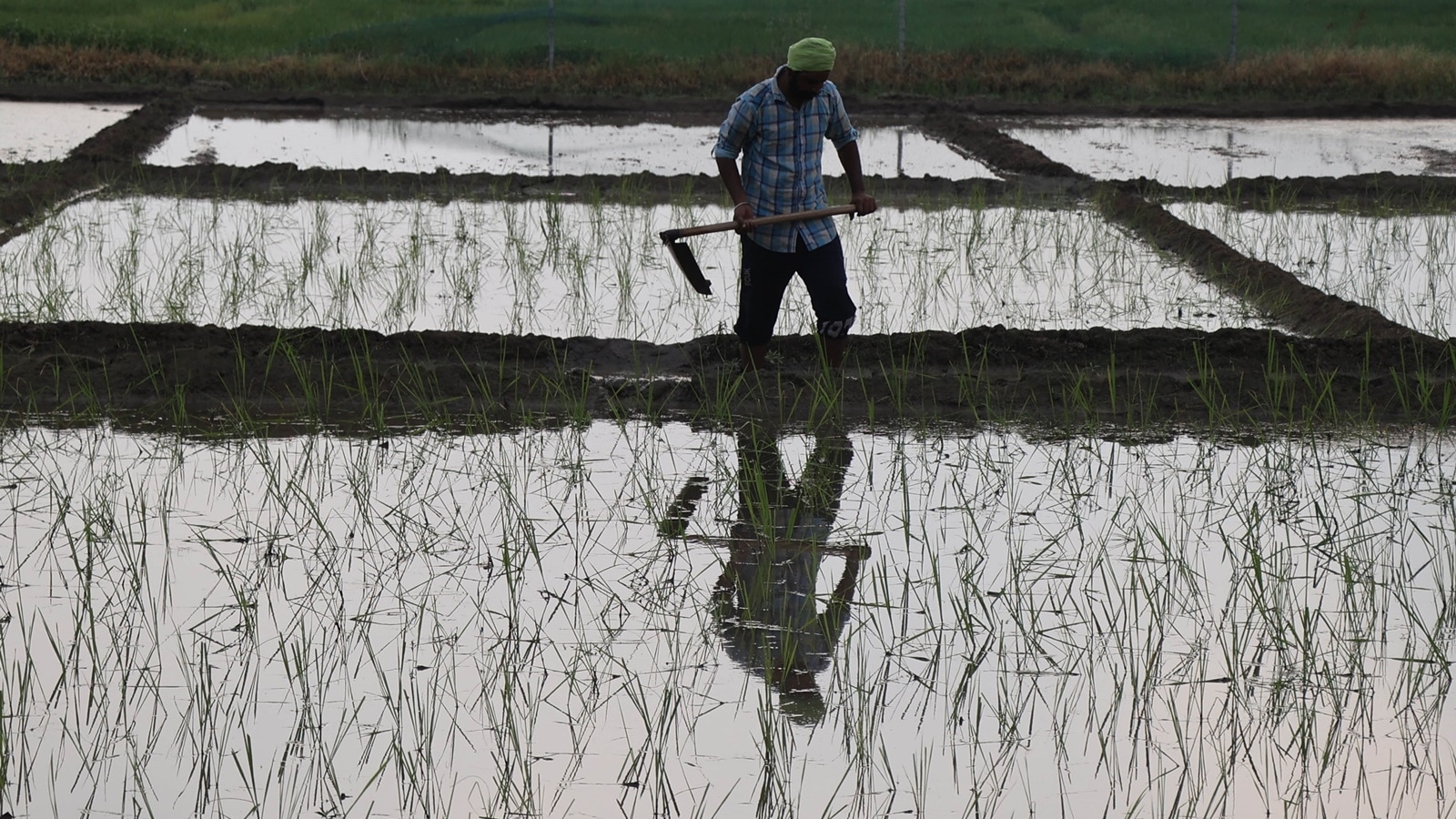 India cannot resolve its food challenge without fixing how it uses water