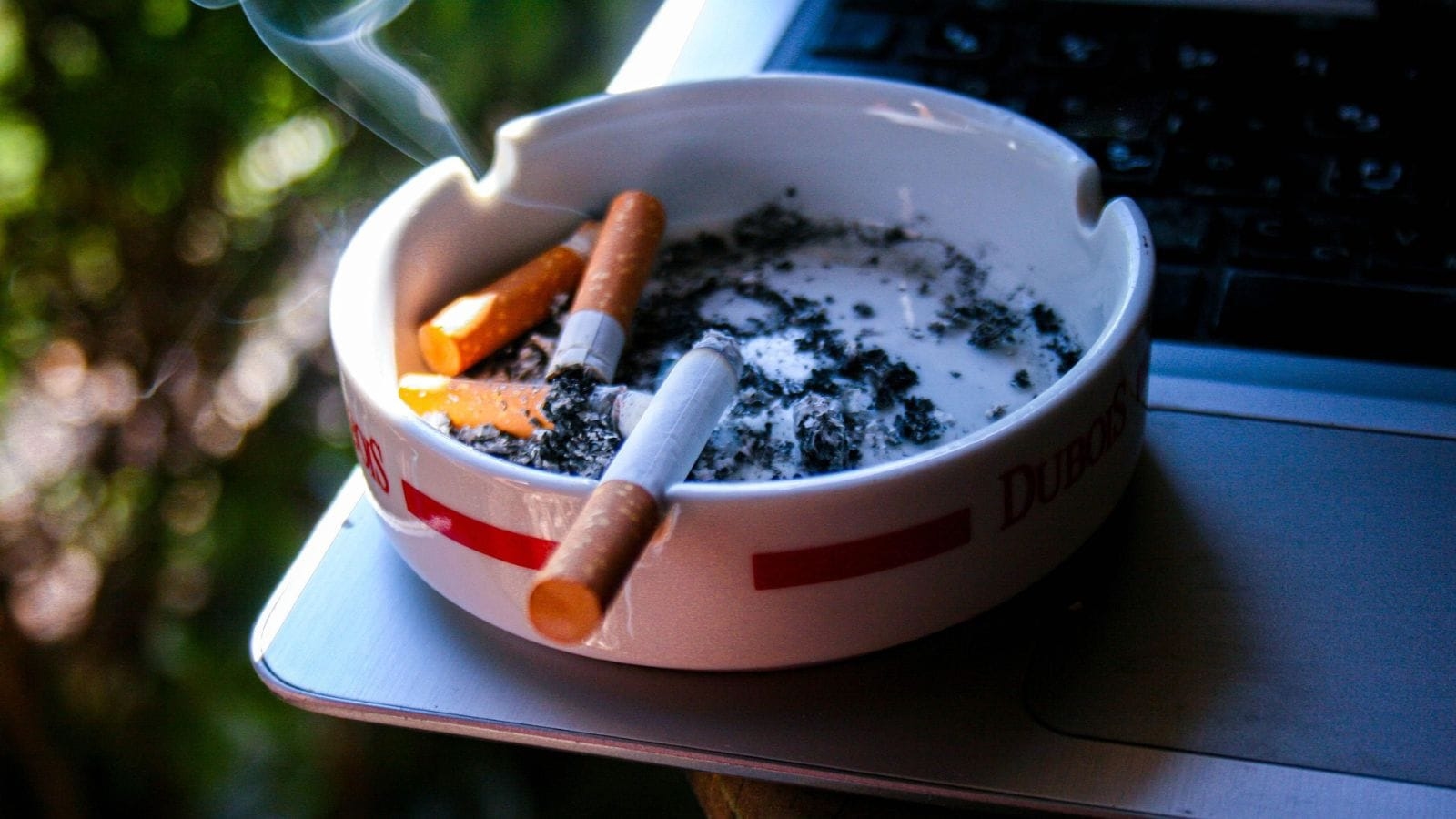 International meet urge govts to take bold steps to end tobacco use