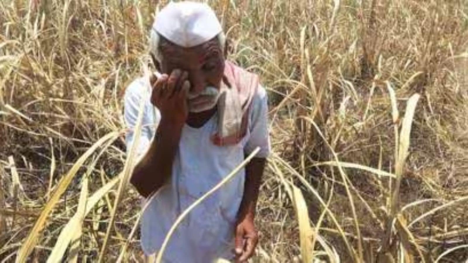 Jalna crop relief scam: 21 govt officials suspended over 'misappropriation' of Rs 42 crore meant for farmers who suffered crop loss