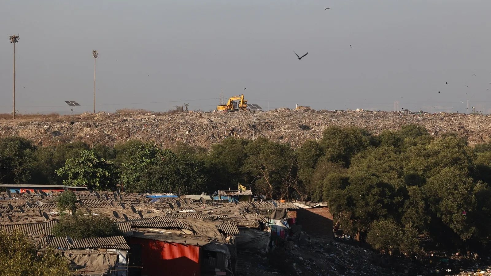 At Deonar dumping site, toxicology indicators four times safety limit: Study