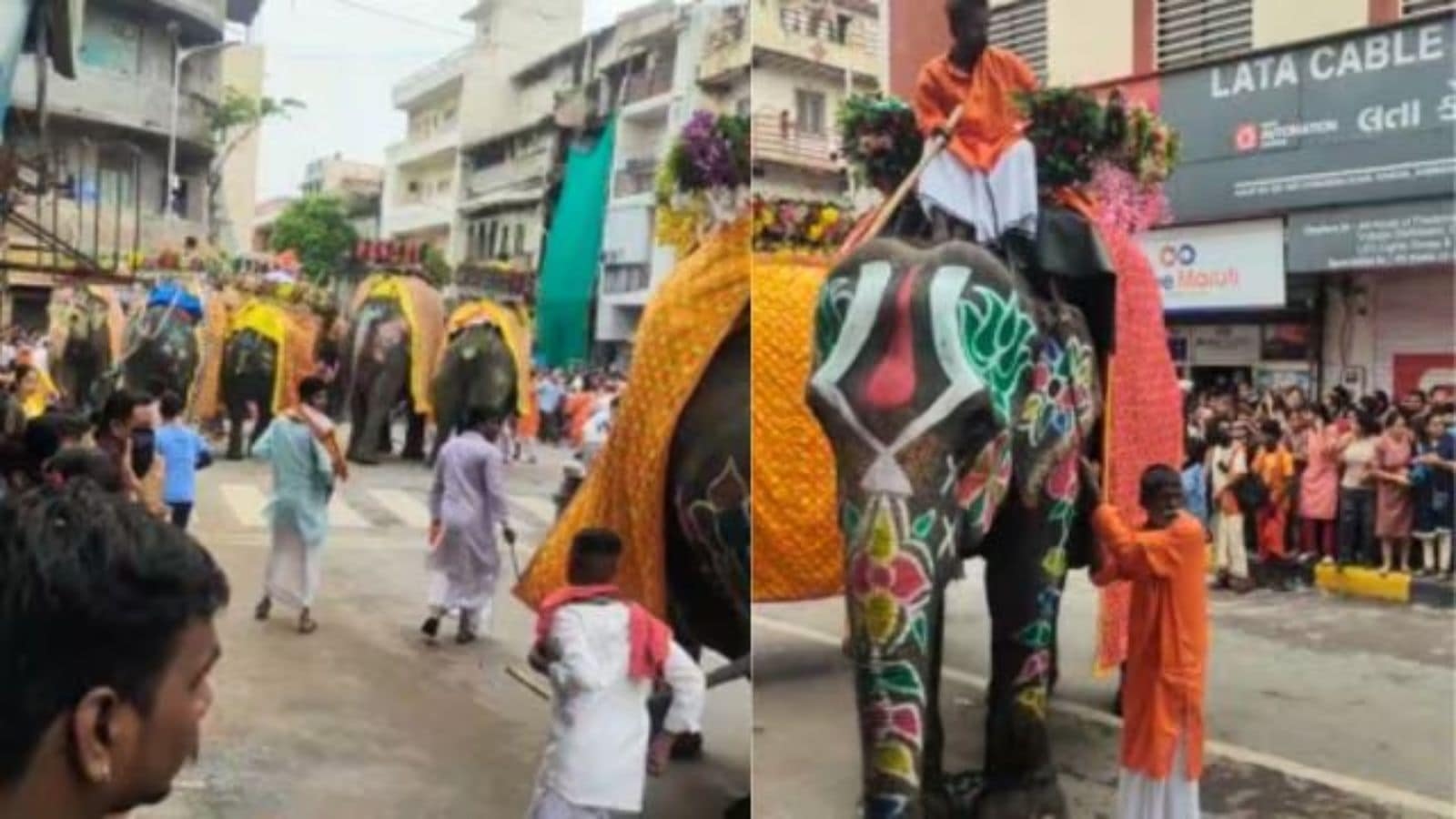Day after it ran amok during Jagannath Rath Yatra procession, elephant shifted to temple's farmhouse