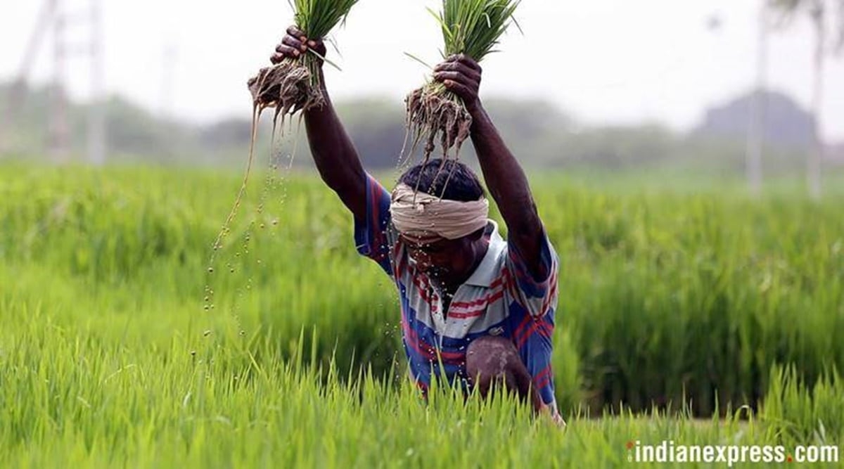 PM Kisan Samman Nidhi Yojana: Date of the 20th installment, check its beneficiary list, and more details