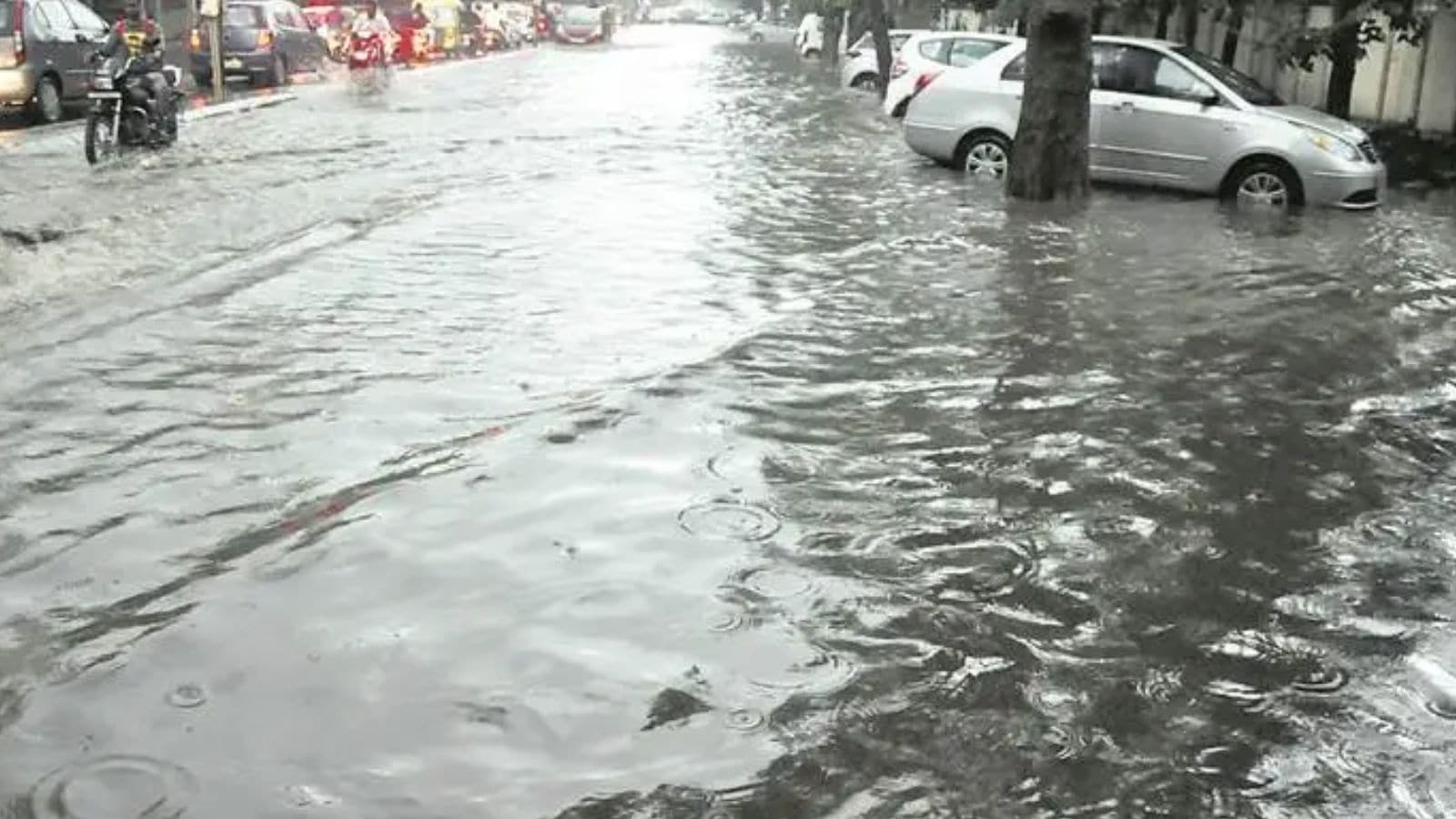 Gujarat: 38 students, 22 others get trapped amid heavy rainfall, rescued