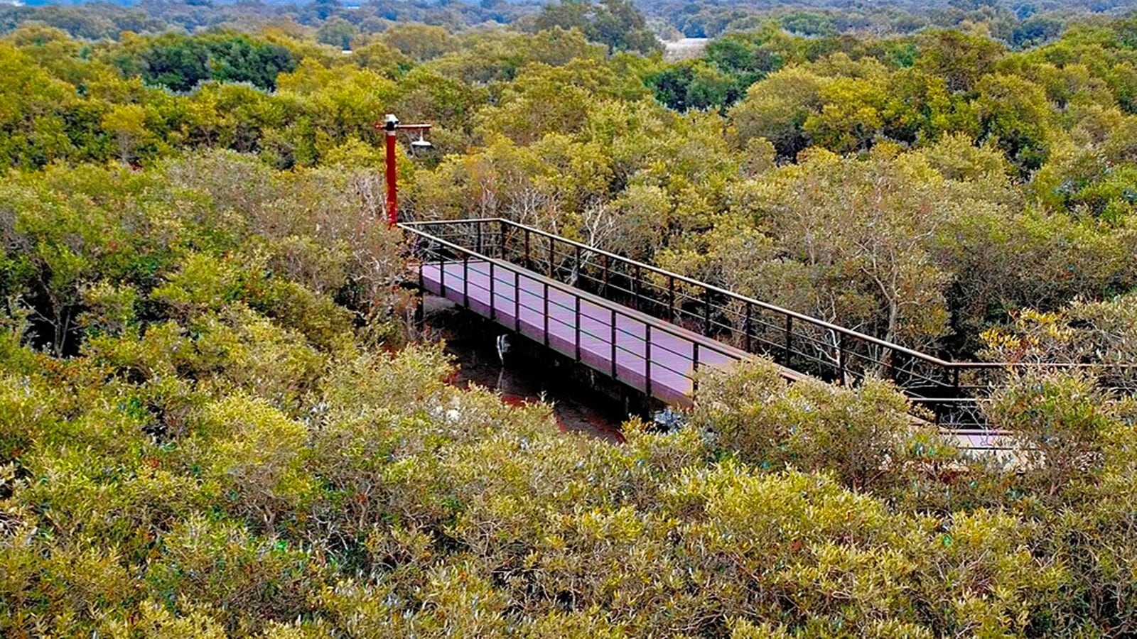 Country's first mangrove park at Gorai set to open in next two months; entry won't be free