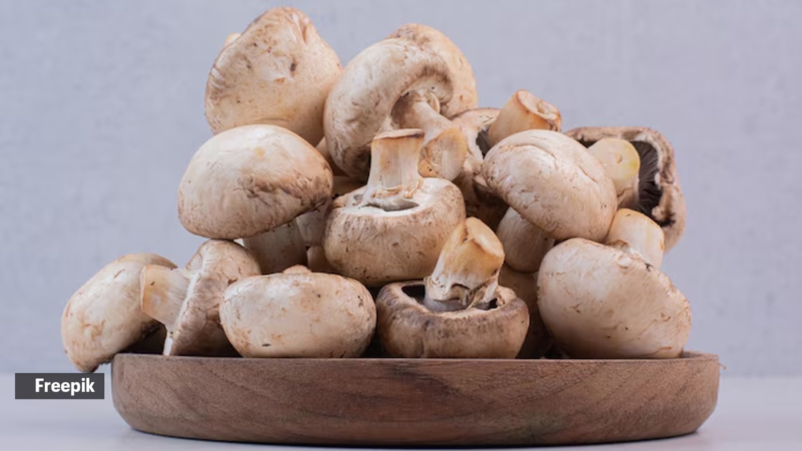 Not just soup: Decode the secret life of mushrooms at Empress Botanical Garden walk