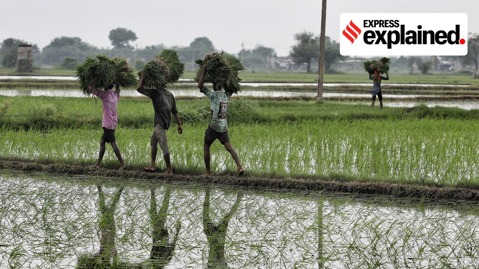 New scheme to study crops using AI: What is CROPIC
