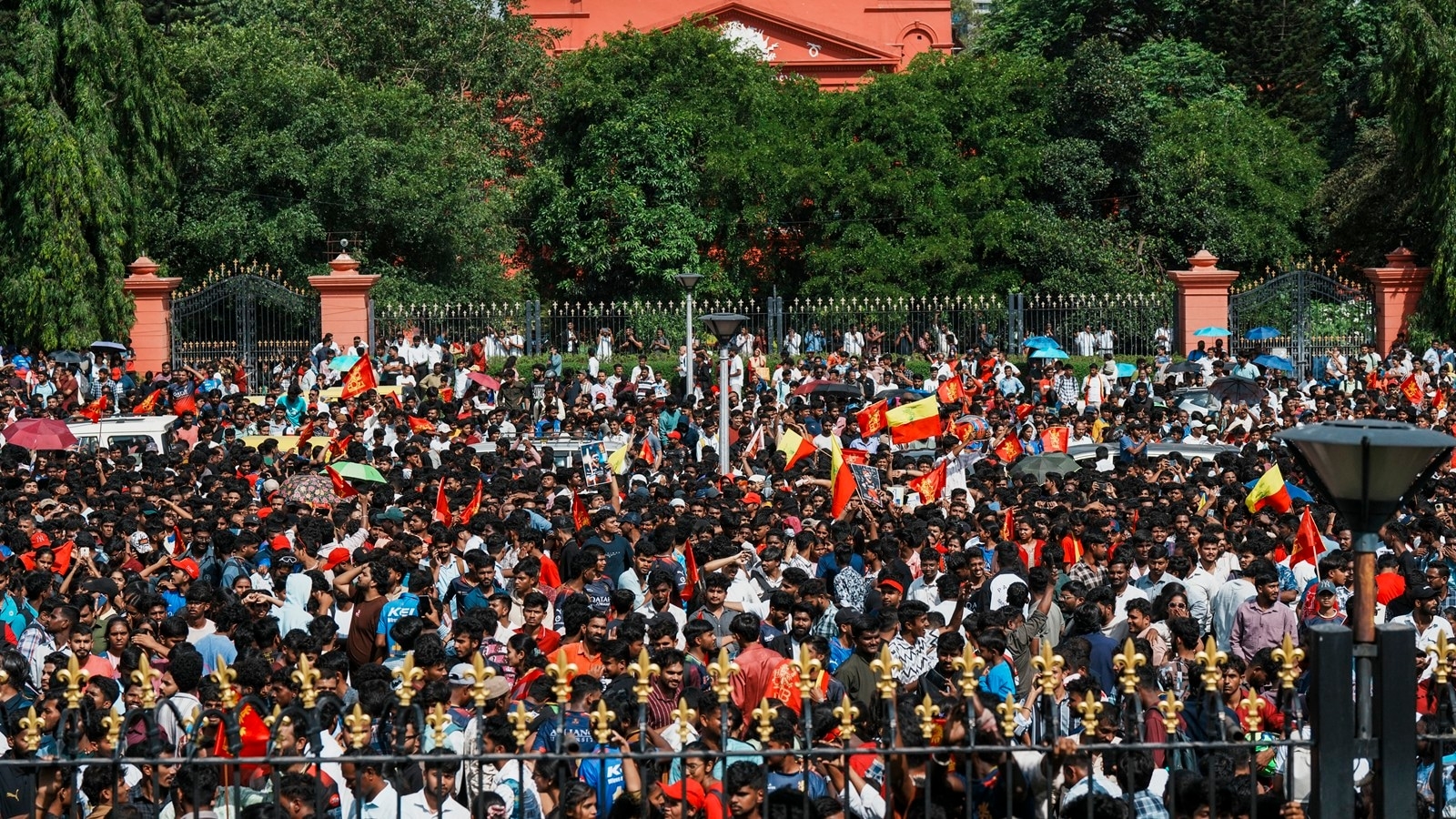 RCB announce Rs 10 lakh aid for families of Bengaluru stampede victims