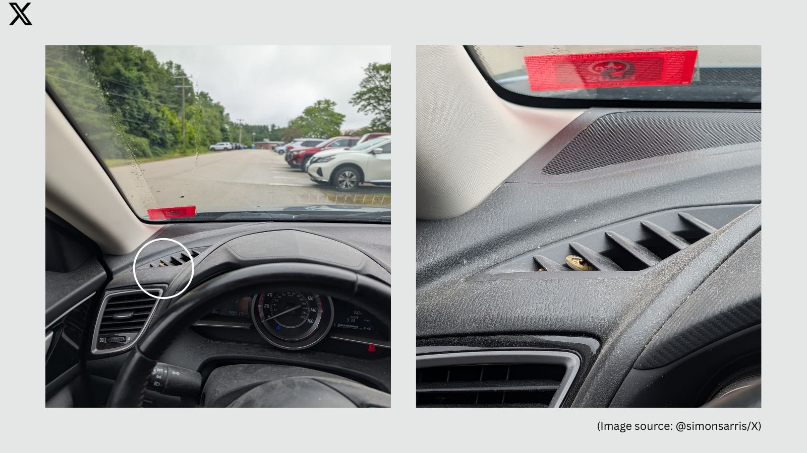 US man finds snake peeking from his car's AC vent, plays Enya to calm it down; Mazda says ‘Try Beyoncé'