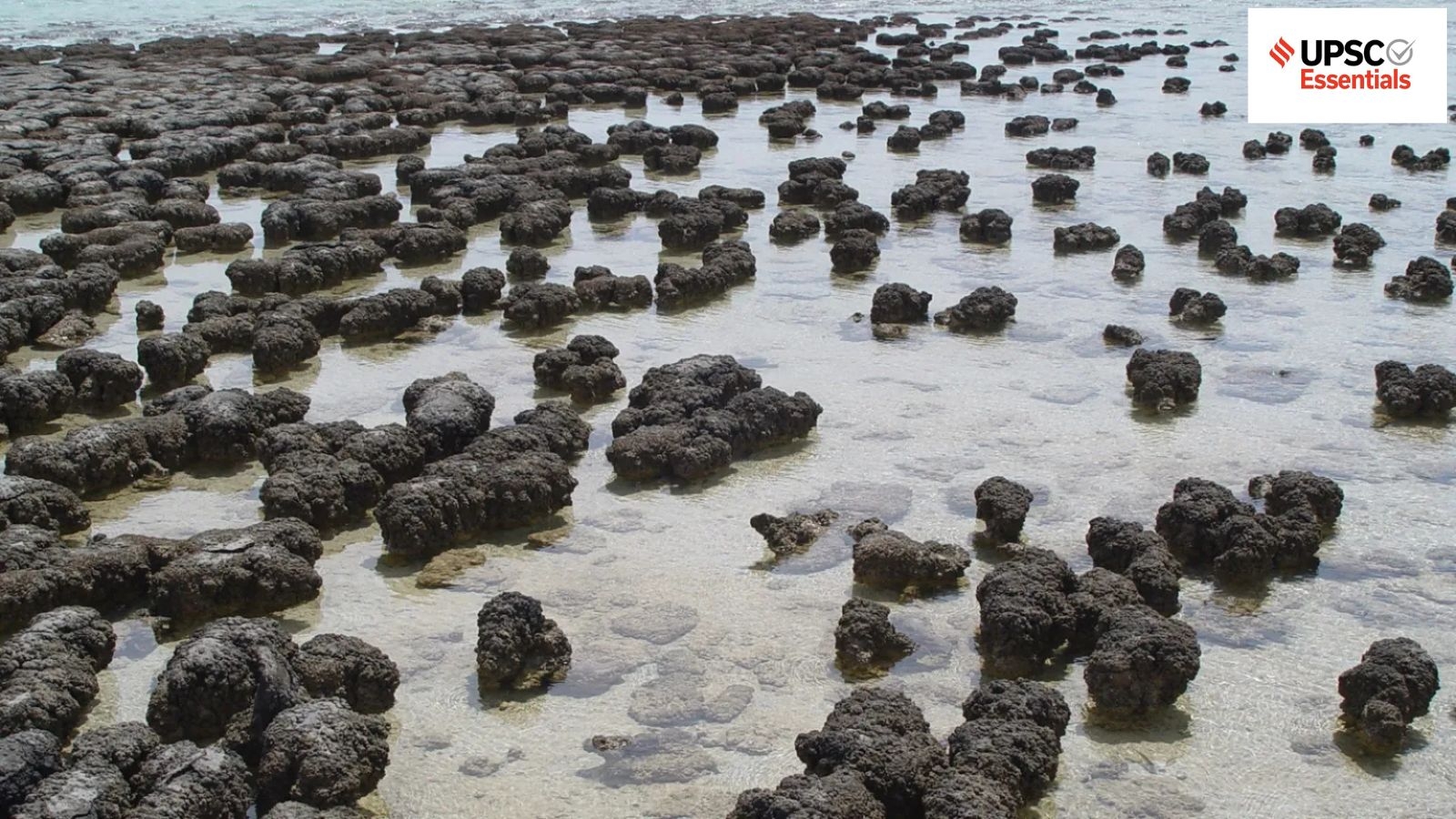 Mains answer practice — GS 1 : Questions on significance of stromatolite formations and Kutch as a multi‑phased archaeological region (Week 106)