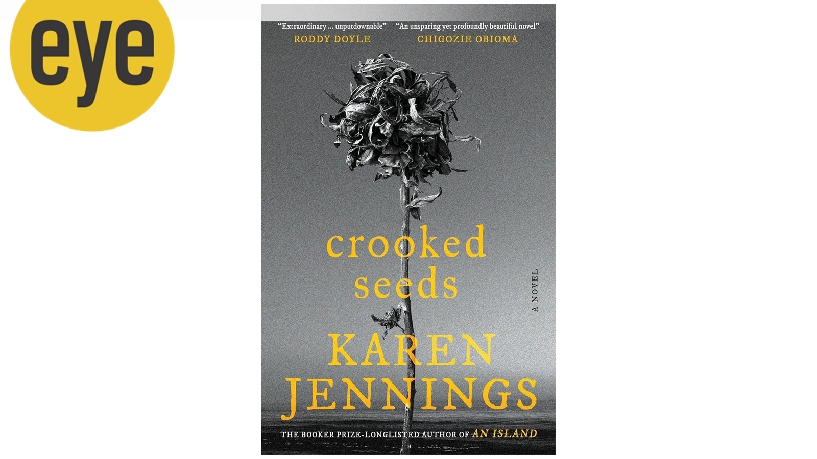 Author Karen Jennings on her latest novel Crooked Seeds and how social media has impacted our sense of history
