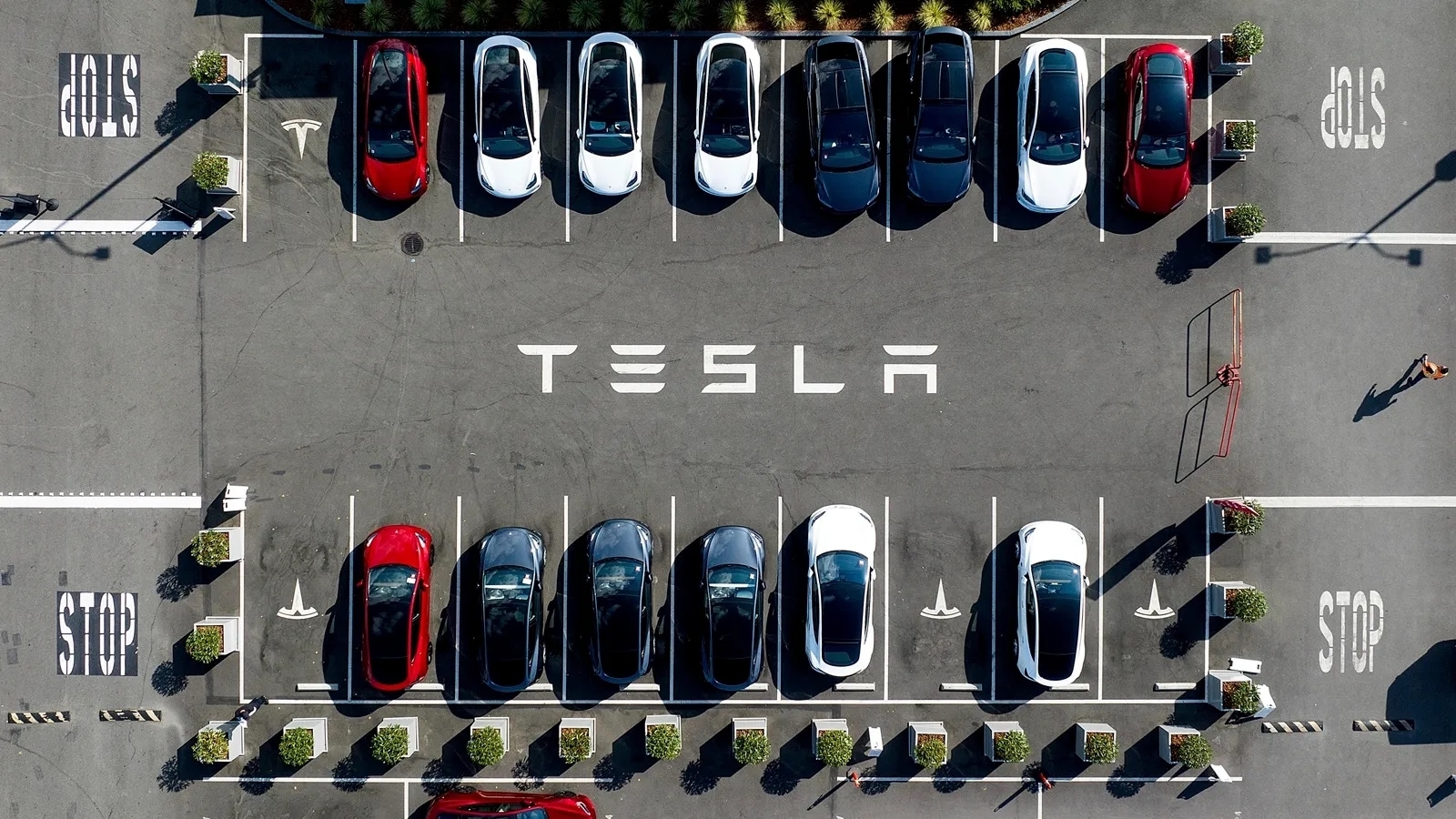 Trump-Musk row slams Tesla shares, $150 billion in market value wiped out