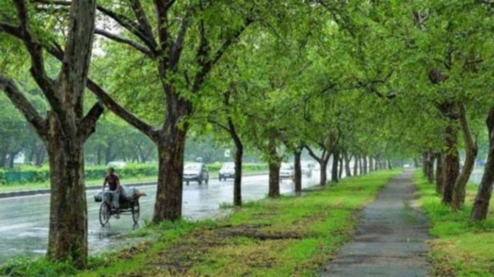 Maharashtra CM Fadnavis sets target of planting 10 crore trees this year