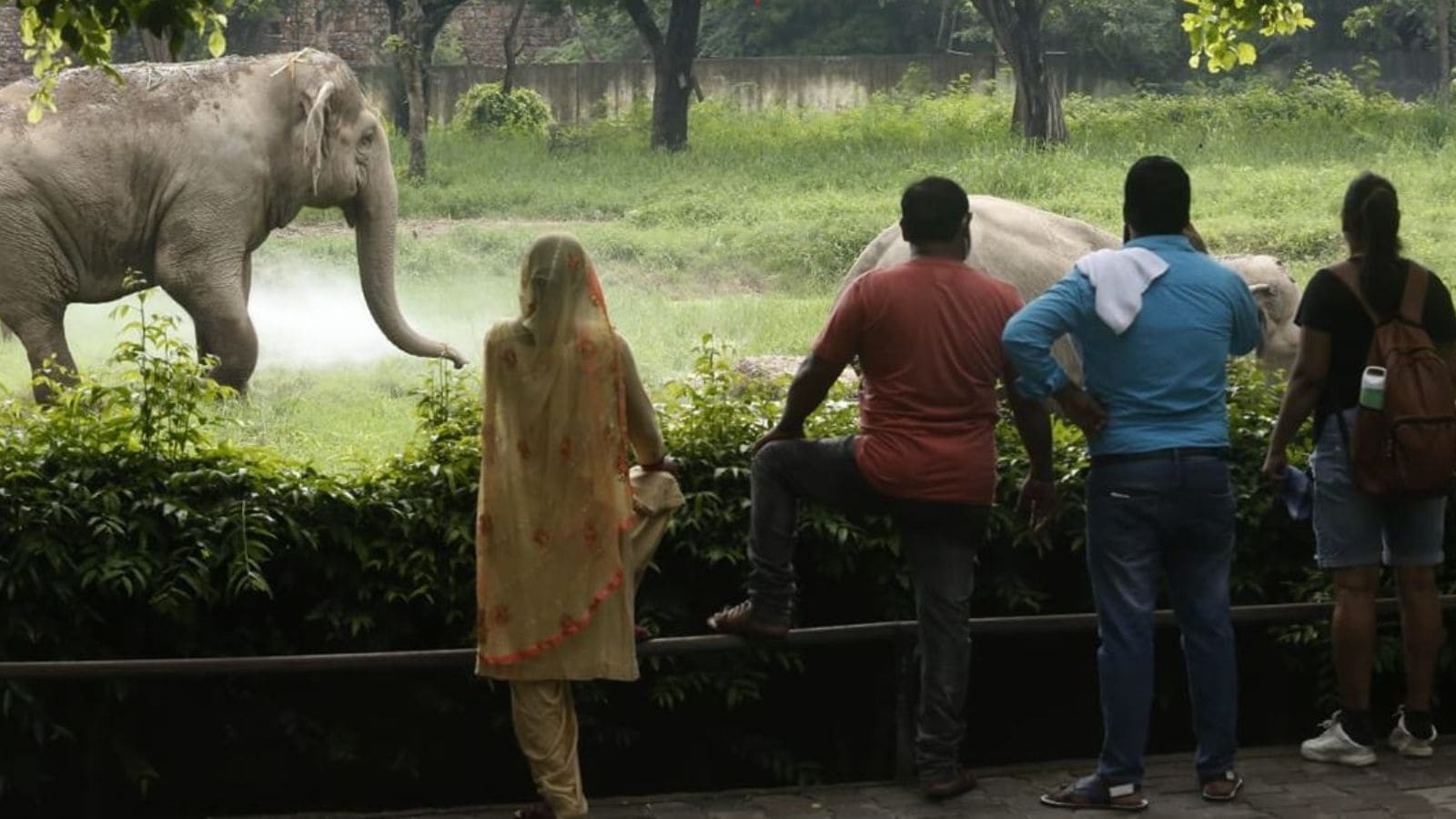 Finally, Kolkata's Alipore Zoo to introduce cloakroom facility for visitors