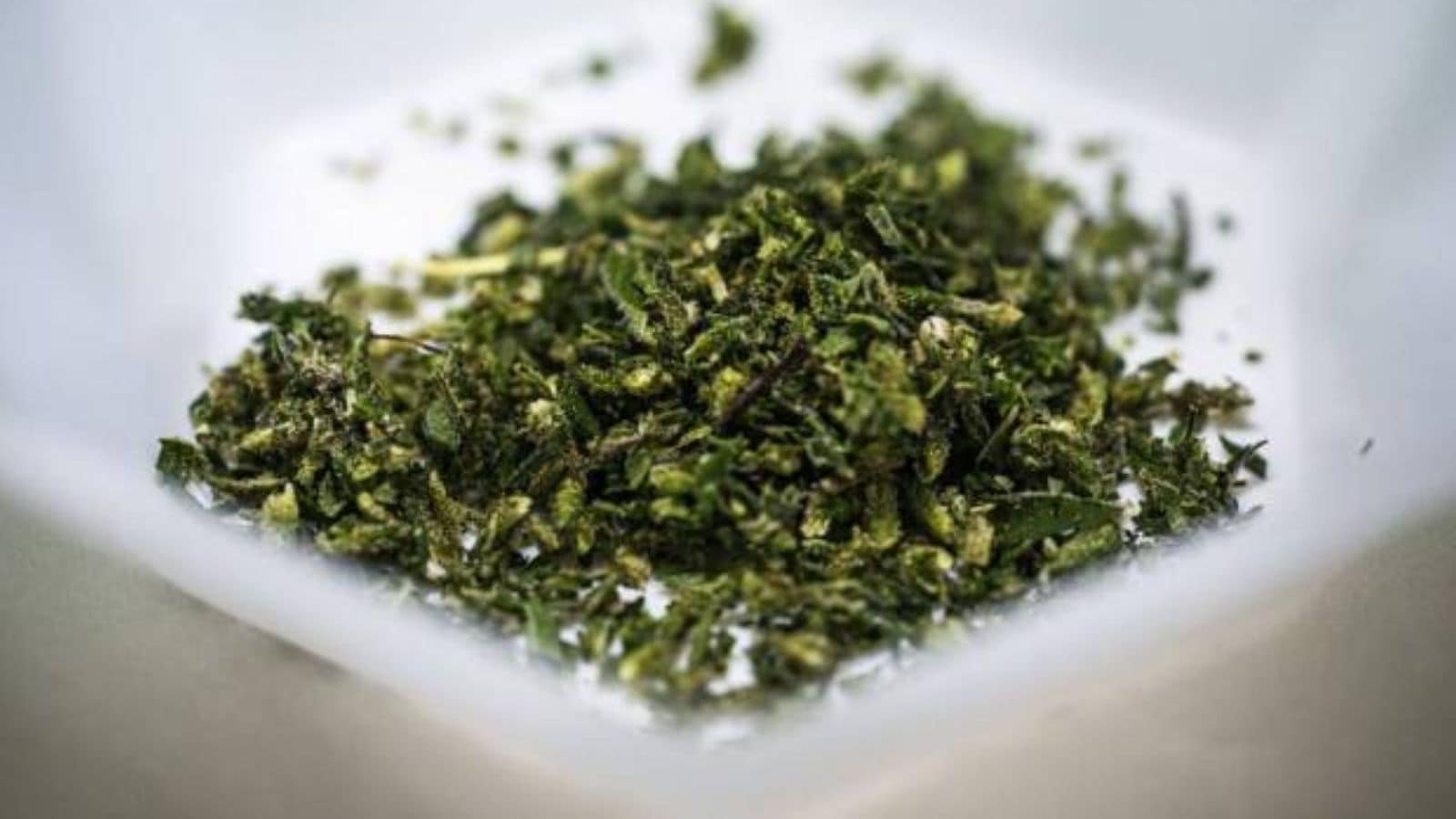‘Yoga guru' who returned from Goa to set up ashram in Chhattisgarh arrested, police say 2 kg weed found
