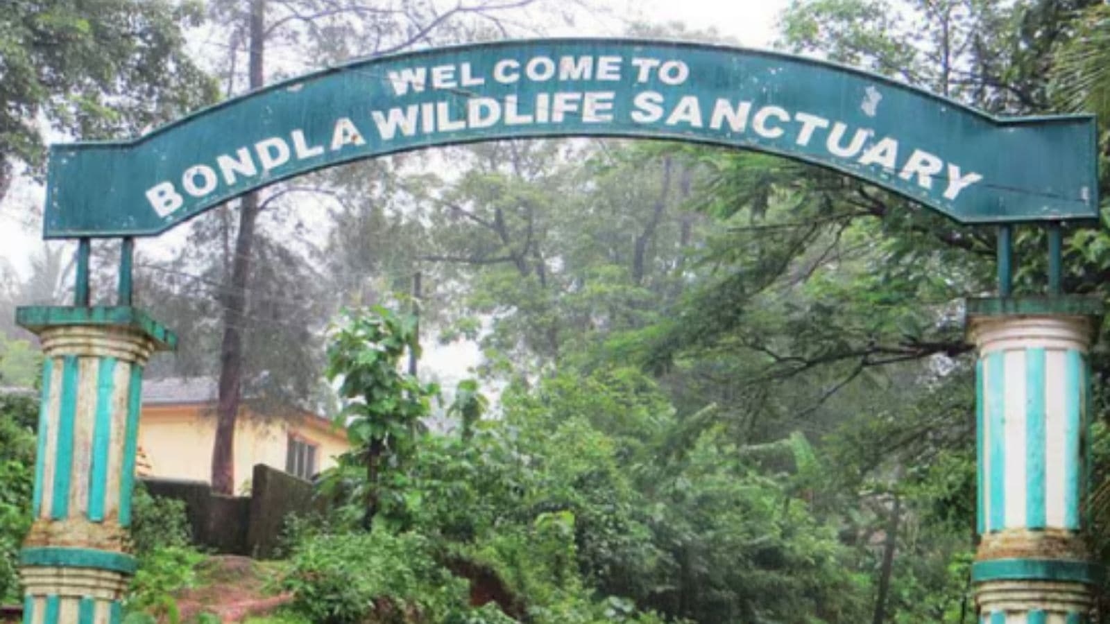 Goa zoo reopens after bird flu outbreak