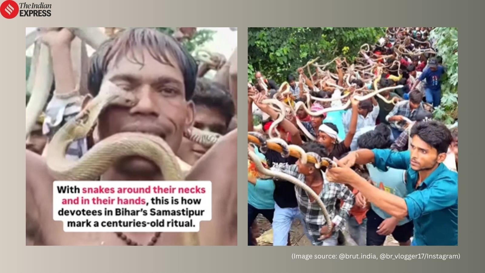 Bihar's Nag Panchami ritual goes viral as devotees parade with snakes; netizens react: ‘Angrej humse azad huye hain'