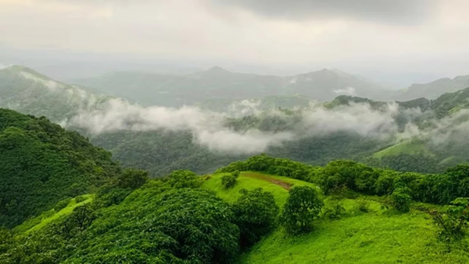 Amid pushback, Chhattisgarh withdraws community forest rights