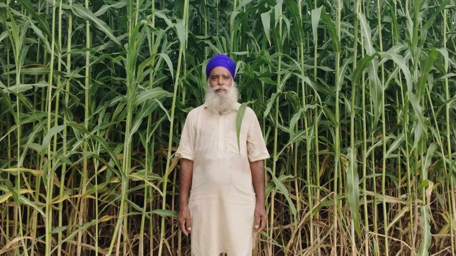 Ferozepur farmer injured in drone attack post-Operation Sindoor succumbs weeks after his wife's death