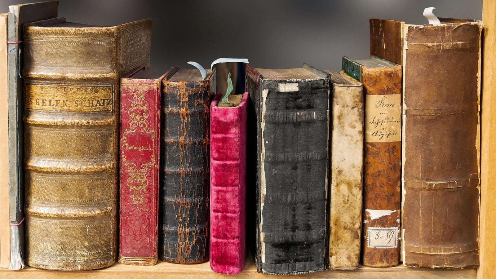 7 must-read translated Indian novels that retain their soul