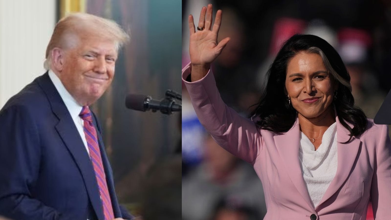Trump calls Tulsi Gabbard ‘hottest in the room'. It has a Obama connection