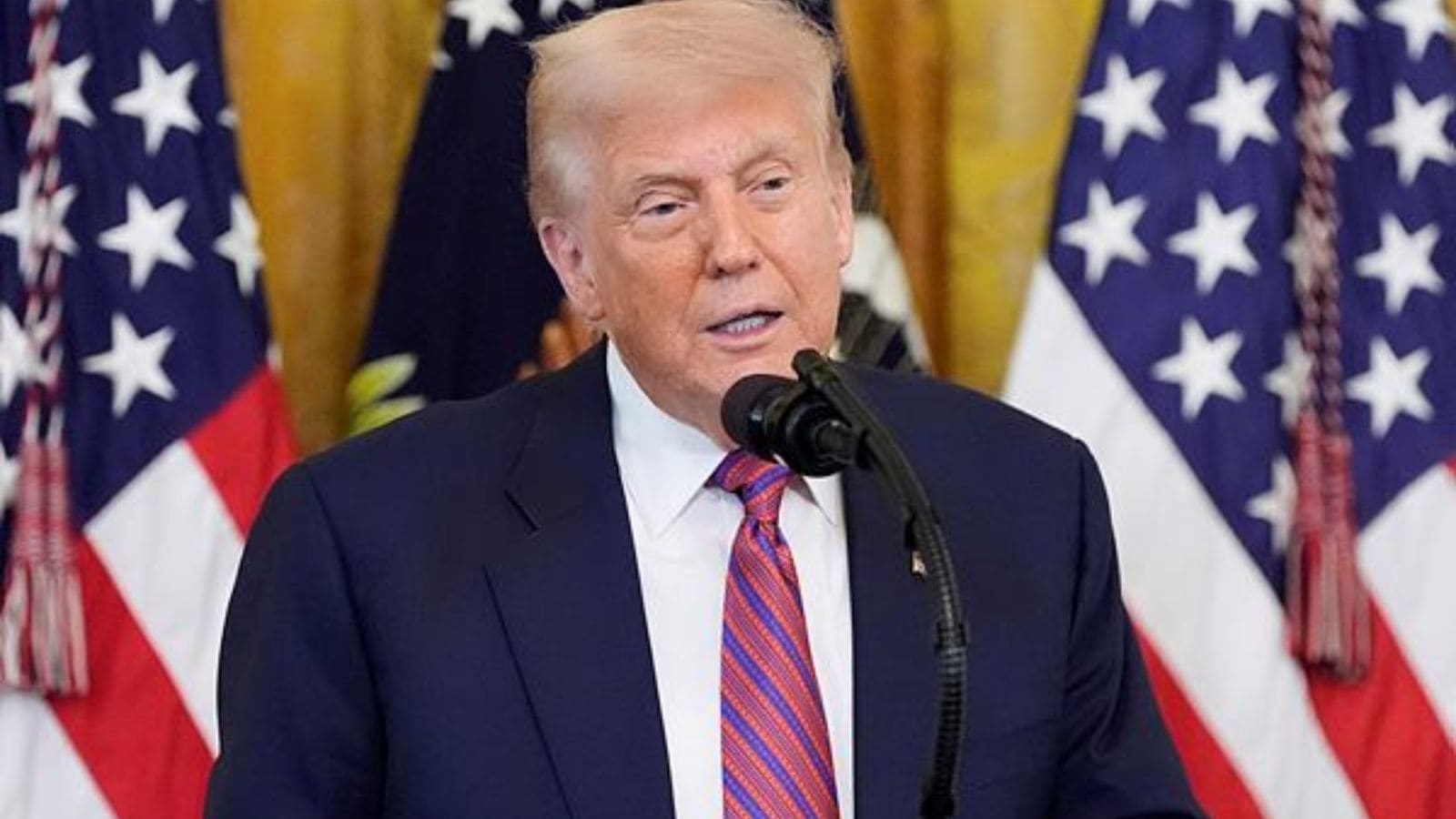 ‘I will try to save them': Trump vows to save Afghans facing deportation from UAE