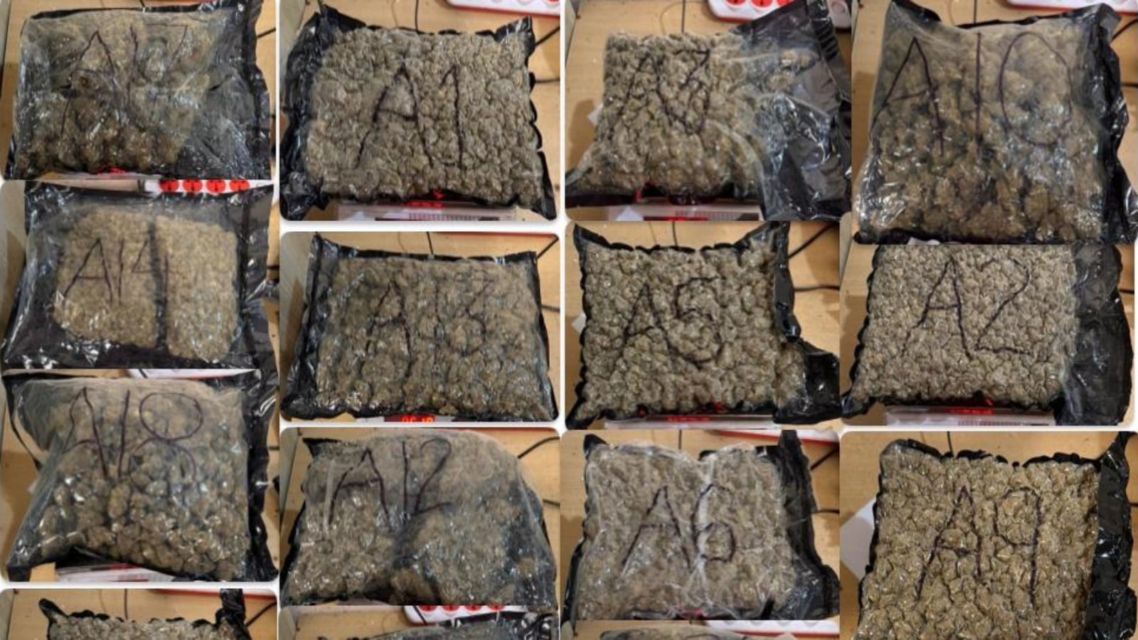 Smuggling bids foiled Narcotics, exotic wildlife, gold worth over Rs 11 cr seized in a day at Mumbai airport