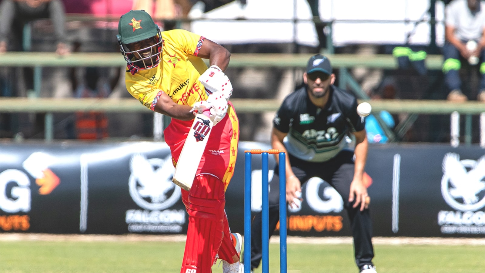 New Zealand vs Zimbabwe T20I Live Cricket Score Streaming Free Online: Where to Watch NZ vs ZIM Today's Match Live telecast?
