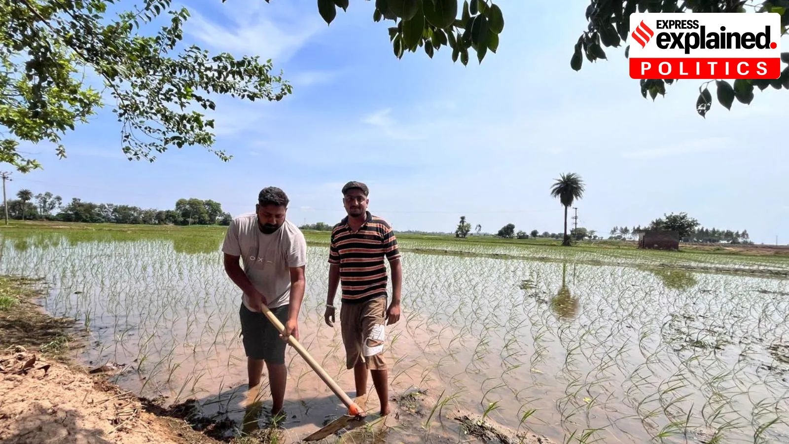 Punjab's land pooling policy and its criticism
