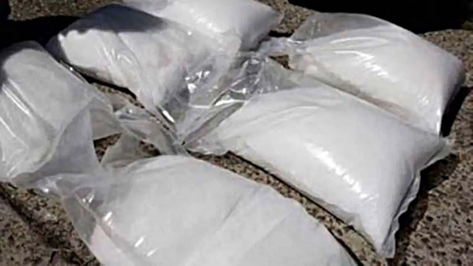 From ganja to cocaine: Narcotic seizures signal shift in Haryana trafficking patterns