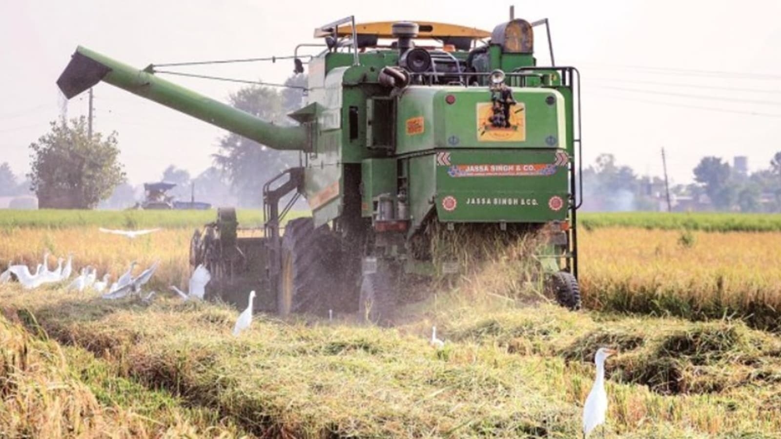 ‘Monster' to miracle: How a machine in Punjab became India's harvesting hero