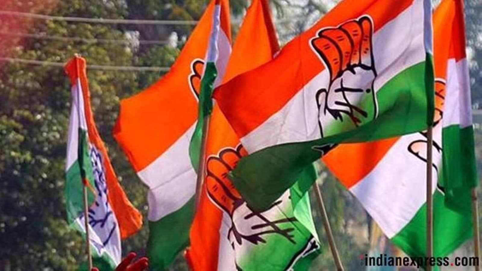 Amid organisational overhaul, Haryana Congress likely to announce new district chiefs by July-end