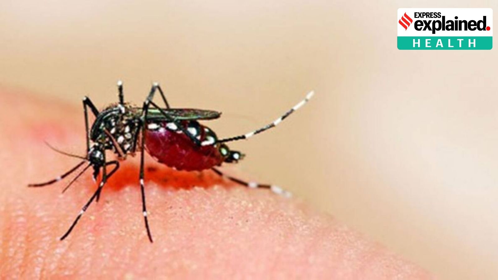How new ICMR vaccine gives new hope in fight against malaria