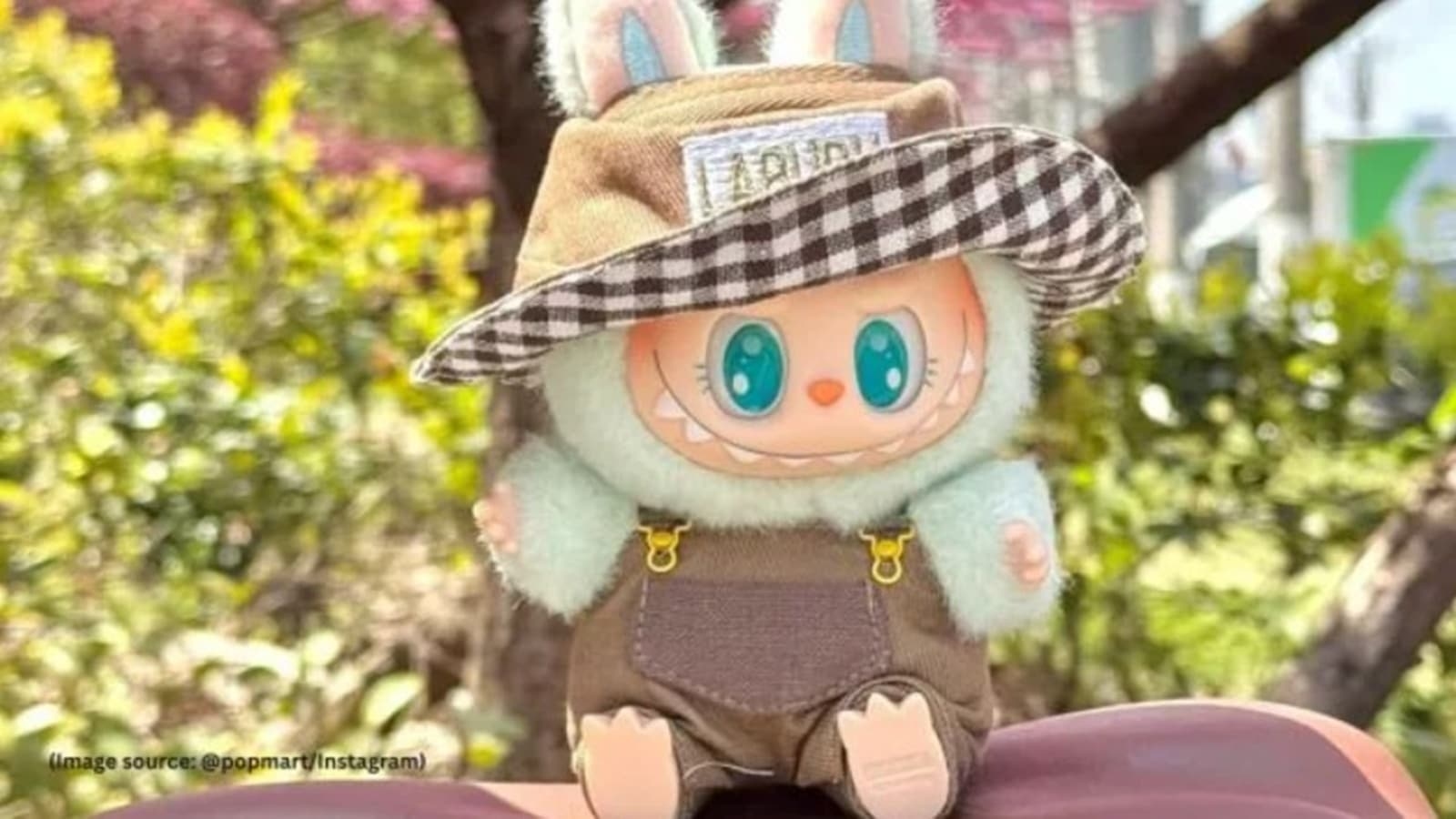 Young Edge: How Pune stores are catching up with Labubu doll trend that has taken over social media